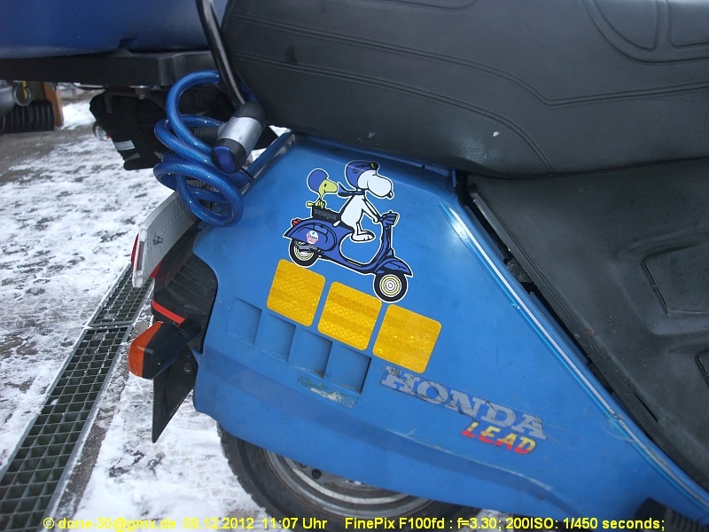 2012_12_08_sa_04_023_dekor_rechts.jpg