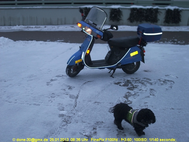 2013_01_25_fr_01_003_spuren.jpg