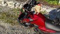 2021_09_05_so_01_067_honda_cb125f_schirimobil_liegenbleiber_bei_mindelberg_bei_715km