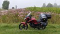 2021_10_10_so_01_014_honda_cb125f_schirimobil_bellamont_blumenwiese