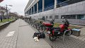 2024_01_06_sa_01_120_honda_cb125f_dresden_eissporthalle_joynext_arena