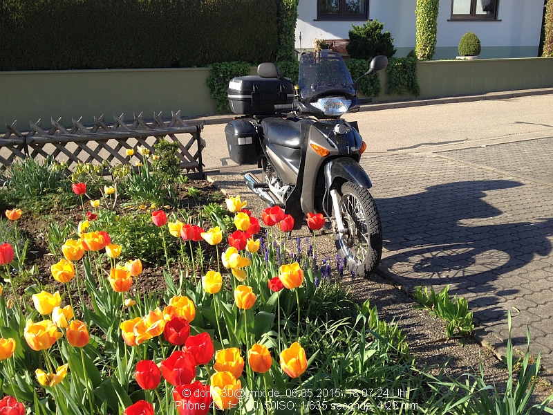 2015_05_06_mi_02_011_fruehlingsinnova.jpg