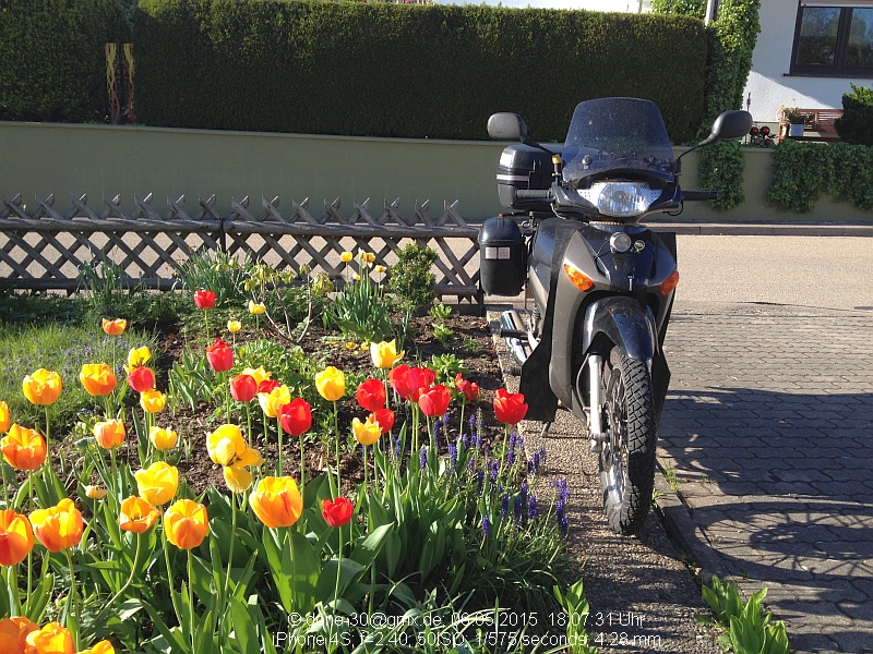 2015_05_06_mi_02_012_fruehlingsinnova.jpg