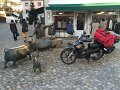 2014_12_13_sa_04_002_wangen_im_allgaeu_antoniusbrunnen