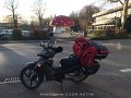 2014_12_13_sa_04_003_wangen_im_allgaeu_milchpilz