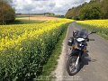 2015_04_26_so_01_022_rapsbluete_bei_geroldshausen-moos