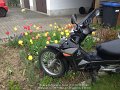 2015_04_30_do_02_008_tulpen