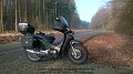 2016_03_10_do_01_009_ulm_maehringer_weg_rodung_fuer_strassenbahn