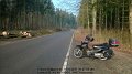 2016_03_10_do_01_012_ulm_maehringer_weg_rodung_fuer_strassenbahn