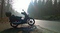 2016_03_10_do_01_017_ulm_maehringer_weg_rodung_fuer_strassenbahn