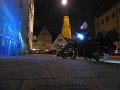 2016_03_13_so_03_058_noerdlingen_daniel