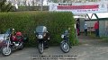 2016_04_24_so_01_024_motorradweihe_white_head_senden