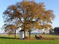 2016_10_30_so_02_006_innotour_bei_roggenburg