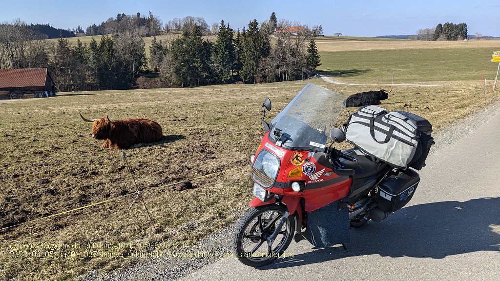 2022_03_05_sa_01_037_innova_schirimobil_hochlandrinder_bei_starkenhofen.jpg