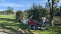 2024_08_30_fr_01_013_honda_innova_schirimobil_kloster_scheyern