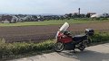 2024_09_01_so_01_004_honda_innova_finningen_und_ulm