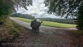 2024_09_13_fr_01_010_honda_innova_zwischen_hundsberg_und_seelach