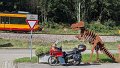 2024_09_29_so_01_035_honda_innova_bad_wildbad_saurier