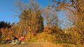 2024_11_16_sa_02_010_honda_innova_schirimobil_herbst_bei_kirchhaslach