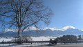 2025_01_11_sa_01_084_honda_innova_forggensee_bei_dietringen