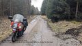 2025_03_01_sa_01_011_honda_innova_beim_pfadfindern_im_kimmacher_wald