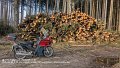 2025_03_28_fr_01_017_honda_innova_bei_hegnenbach_altenmuenster