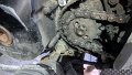 2025_04_02_mi_01_012_honda_innova_ritzel_15