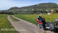2025_04_19_sa_01_009_honda_innova_am_rechberg
