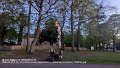 2025_04_25_fr_01_101_honda_innova_liegenbleiber_in_stavenow_tachostand_175097km