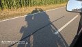 2025_07_11_fr_01_027_honda_innova_