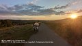 2025_07_11_fr_01_062_honda_innova_bei_heggelbach_herdwangen-schoenach