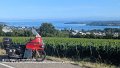 2025_07_18_fr_01_043_honda_innova_bodensee_bei_ueberlingen_aufkirch