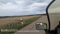 2025_07_25_fr_01_005_honda_innova_zwischen_burgmagerbein_und_rohrbach