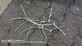 2025_08_12_di_01_006_honda_innova_160er_kabelbinderherstellung