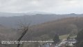 2026_03_30_mo_01_020_bei_engenhahn_niedernhausen_schnee_am_altkoenig