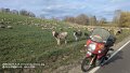 2026_04_03_fr_01_017_honda_innova_