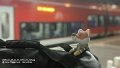 2026_04_26_so_01_079_ulm_hbf