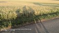 2026_07_05_so_01_113_honda_innova_schatten_domaene_falkenstein