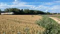 2026_07_06_mo_01_022_bei_wullenstetten_IC_2012_Allgaeu_mit_218_446_Meike_und_218_419_Walli_Bw_Kempten