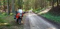 2020_08_07_fr_01_010_ausrutscher_im_wald_zwischen_gachenbach_und_rettenbach