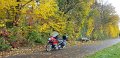 2020_10_24_sa_01_007_innova_im_herbst