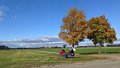 2021_10_23_sa_01_037_innova_schirimobil_tuerkeim_memmingen