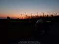 2018_06_30_sa_01_039_innova_tettnang_hopfen