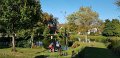 2018_09_29_sa_01_010_limbach