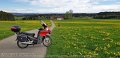 2019_04_24_mi_01_004_pfadfinderrunde_innova_vor_alpenpanorama_zwischen_herlazhofen_und_bettelhofen