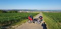 2019_06_28_fr_02_012_K1026_bei_haslach_blick_uebers_ammertal_und_herrenberg