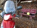 2016_11_20_so_02_020_givischeibe_fuern_arsch_steinekirch