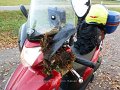 2016_11_20_so_02_022_givischeibe_fuern_arsch_steinekirch