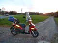 2016_11_20_so_02_031_funkturm_markt_wald