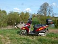 2018_04_22_so_01_023_vision_110_kiebitz_bei_regglisweiler